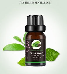Premium Essential Oil Collection - 10ml