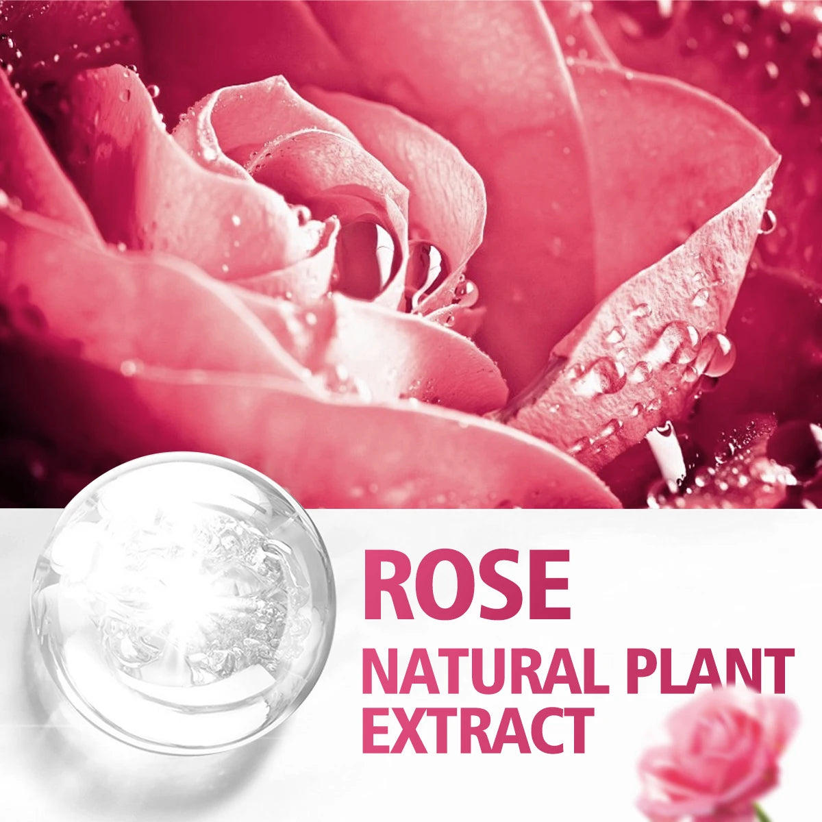 Eleeles Rose Essential Oil – Pure Fragrance & Aromatherapy Massage Oil